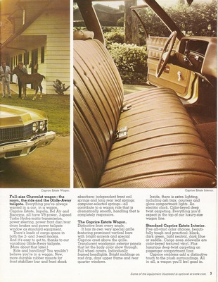 1973 Chevrolet Wagons (Cdn)-03.jpg